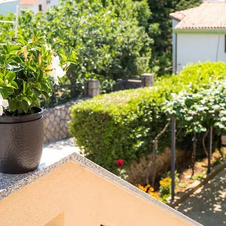 Speranza 2 * 크르크