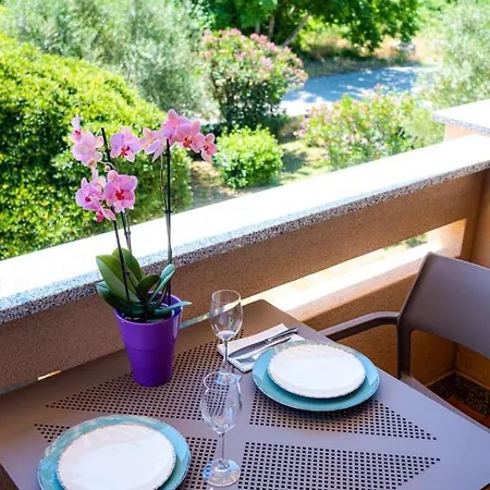 Speranza 2 * 크르크